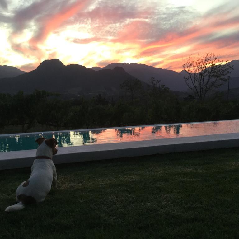 Blueberry Hill Cottages Franschhoek Buitenkant foto